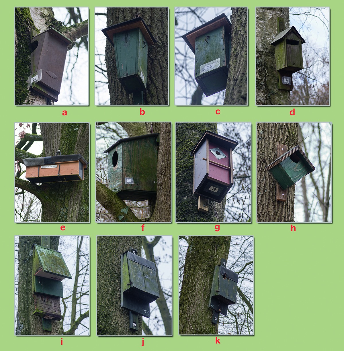 nestkastjes